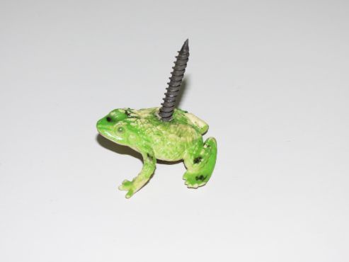 Eine Schraube hat einen grünen Plastikfrosch aufgespießt.